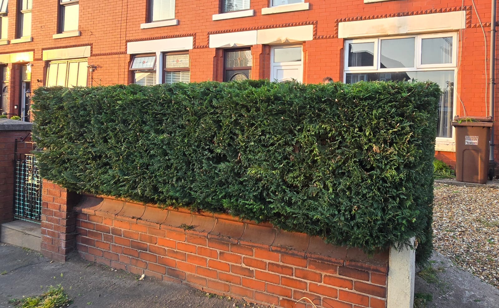 Hedge after