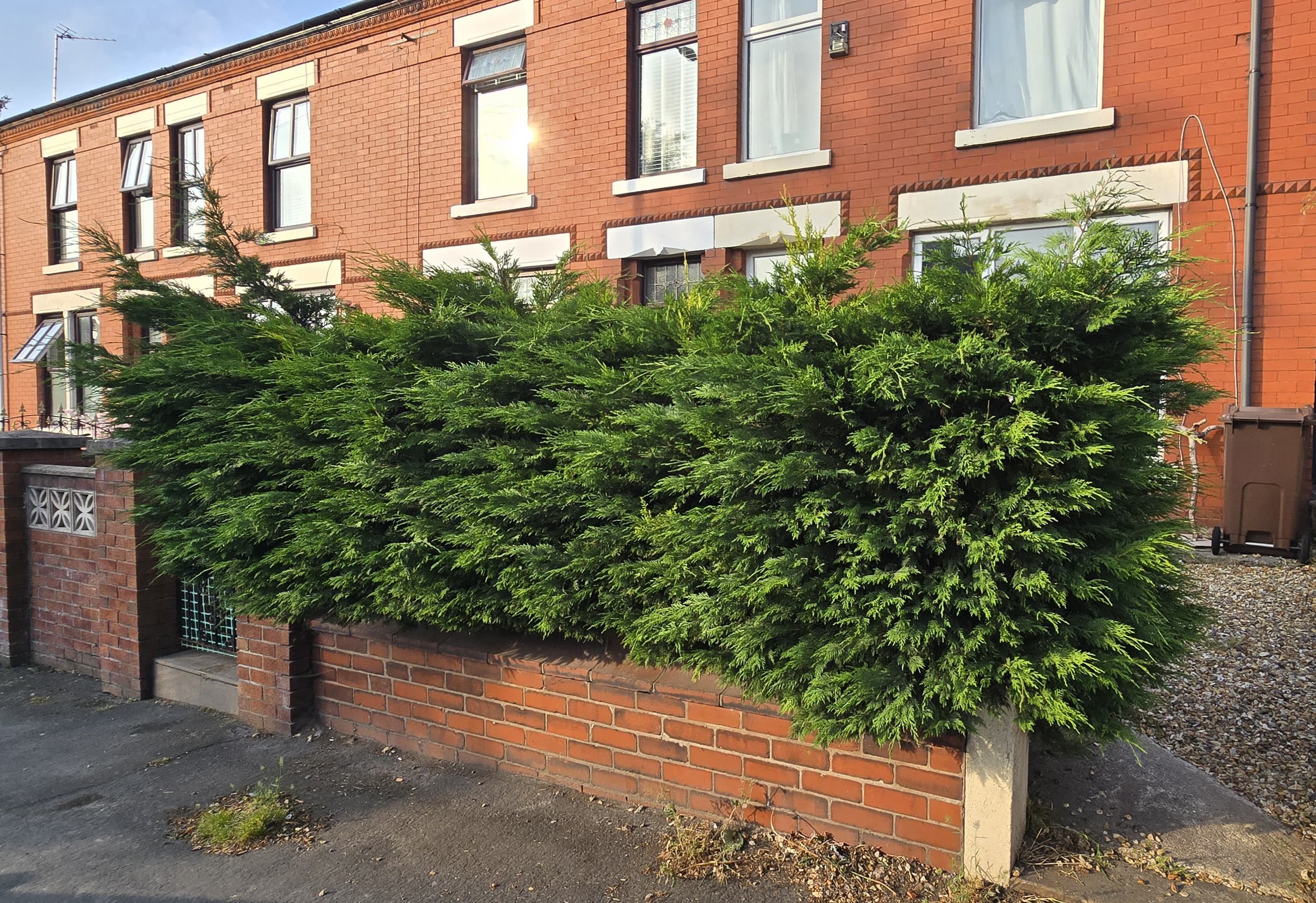Hedge before